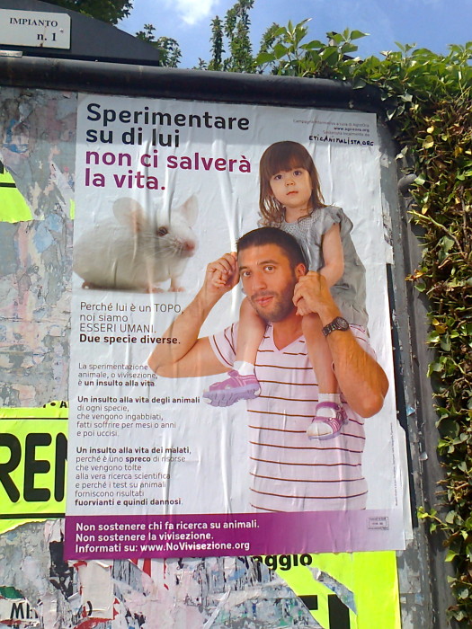 25052012_-_cena_vegan_e_campagna_contro_la_vivisez_20130212_1471177470 25052012_-_cena_vegan_e_campagna_contro_la_vivisez_20130212_1471177470