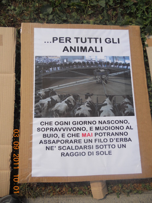 VEGANCH'IO 2011 - 2011 - animals 20130212 1036873208 - animals 20130212 1036873208 - VEGANCH'IO 2011 - 2011-