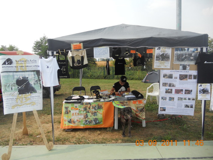 VEGANCH'IO 2011 - 2011 - animals 20130212 1068055274 - animals 20130212 1068055274 - VEGANCH'IO 2011 - 2011-