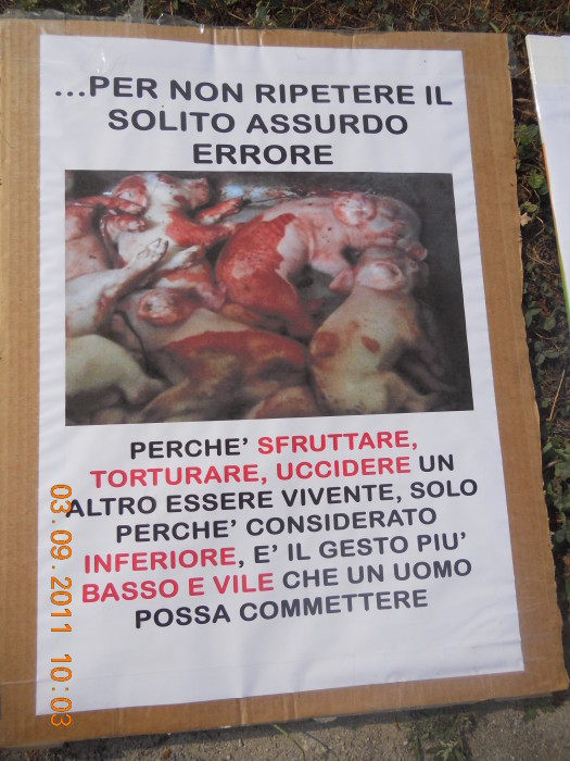 VEGANCH'IO 2011 - 2011 - animals 20130212 1151763682 - animals 20130212 1151763682 - VEGANCH'IO 2011 - 2011-