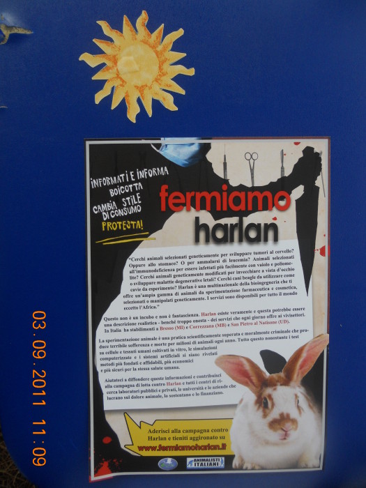 VEGANCH'IO 2011 - 2011 - animals 20130212 1295983622 - animals 20130212 1295983622 - VEGANCH'IO 2011 - 2011-