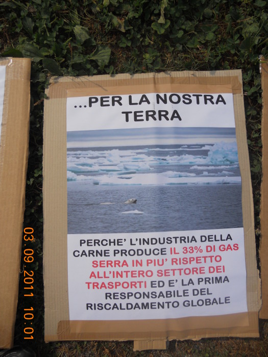 VEGANCH'IO 2011 - 2011 - animals 20130212 1401833403 - animals 20130212 1401833403 - VEGANCH'IO 2011 - 2011-