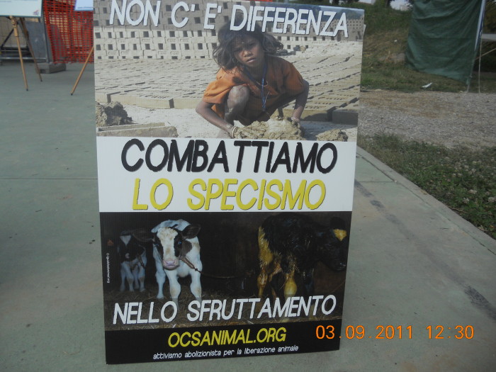 VEGANCH'IO 2011 - 2011 - animals 20130212 1763701867 - animals 20130212 1763701867 - VEGANCH'IO 2011 - 2011-