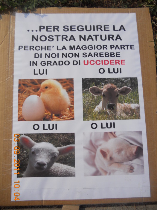 VEGANCH'IO 2011 - 2011 - animals 20130212 1812474866 - animals 20130212 1812474866 - VEGANCH'IO 2011 - 2011-