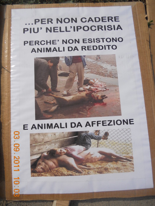 VEGANCH'IO 2011 - 2011 - animals 20130212 2062784885 - animals 20130212 2062784885 - VEGANCH'IO 2011 - 2011-