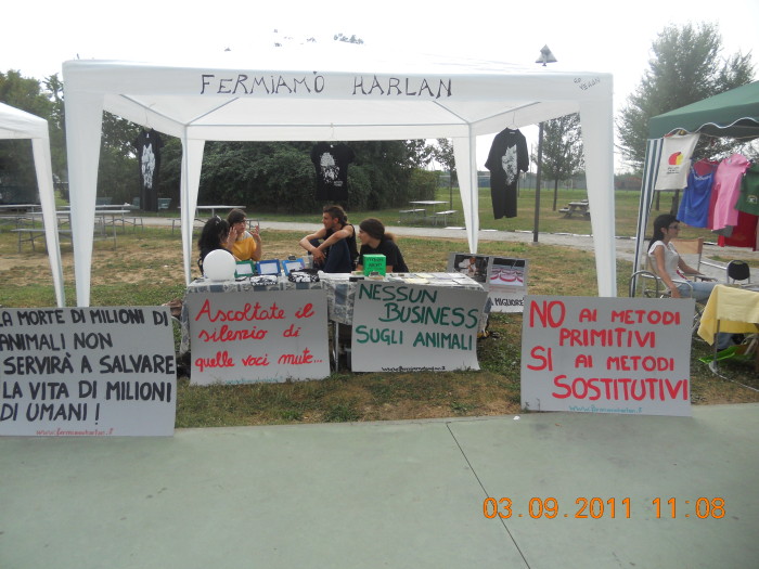 VEGANCH'IO 2011 - 2011 - animals 20130212 2068807196 - animals 20130212 2068807196 - VEGANCH'IO 2011 - 2011-