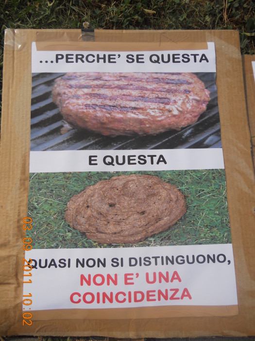VEGANCH'IO 2011 - 2011 - animals asia 20110903 1239145994 - animals asia 20110903 1239145994 - VEGANCH'IO 2011 - 2011-