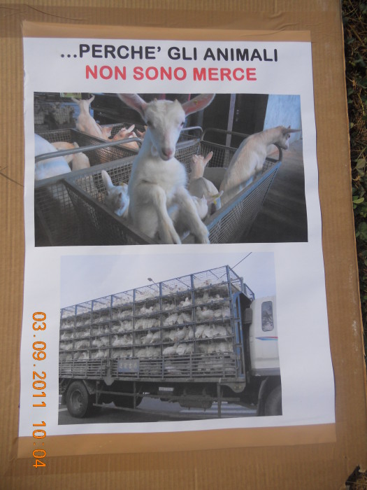 VEGANCH'IO 2011 - 2011 - animals asia 20110903 1293102589 - animals asia 20110903 1293102589 - VEGANCH'IO 2011 - 2011-
