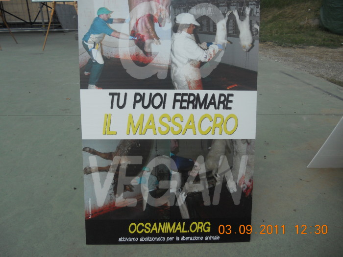 VEGANCH'IO 2011 - 2011 - animals asia 20110903 1404699330 - animals asia 20110903 1404699330 - VEGANCH'IO 2011 - 2011-