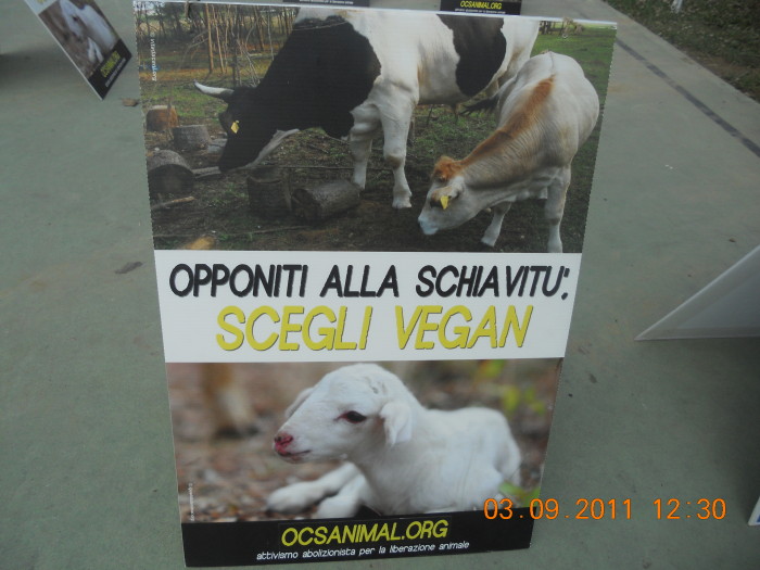 VEGANCH'IO 2011 - 2011 - animals asia 20110903 1476450608 - animals asia 20110903 1476450608 - VEGANCH'IO 2011 - 2011-