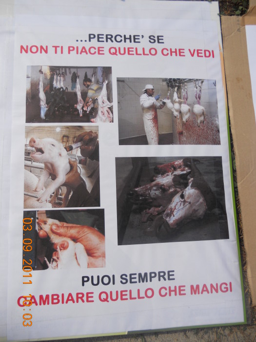 VEGANCH'IO 2011 - 2011 - animals asia 20110903 1666012114 - animals asia 20110903 1666012114 - VEGANCH'IO 2011 - 2011-