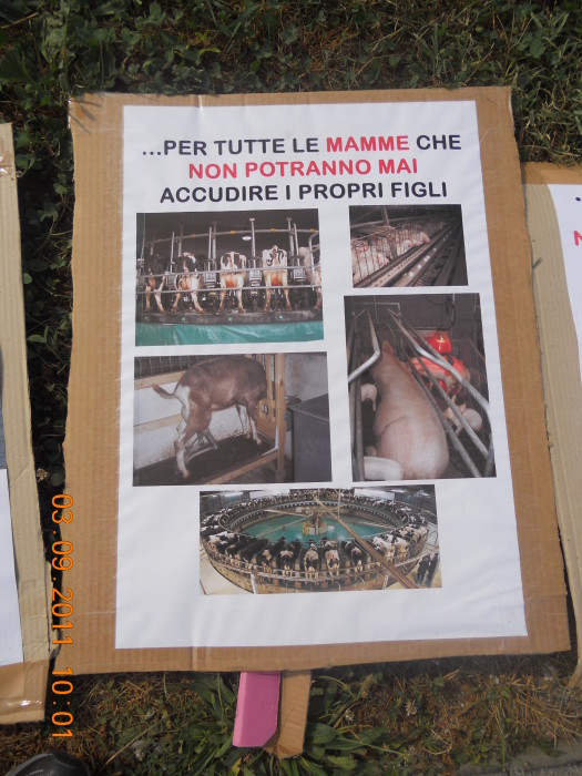 VEGANCH'IO 2011 - 2011 - animals asia 20110903 1747745030 - animals asia 20110903 1747745030 - VEGANCH'IO 2011 - 2011-