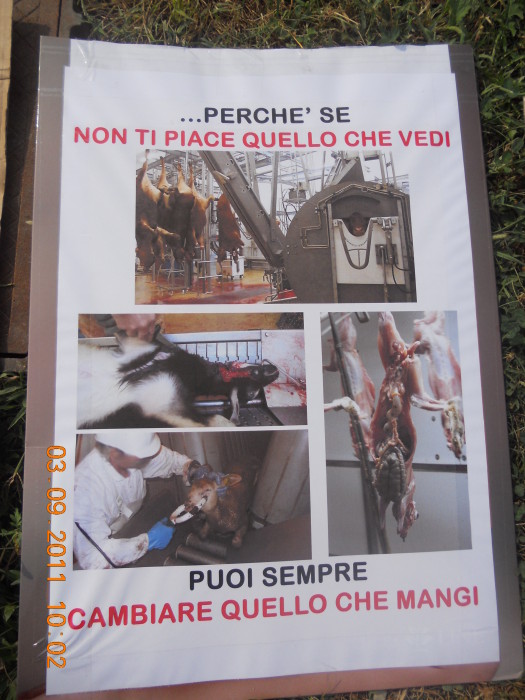 VEGANCH'IO 2011 - 2011 - animals asia 20110903 1797486610 - animals asia 20110903 1797486610 - VEGANCH'IO 2011 - 2011-
