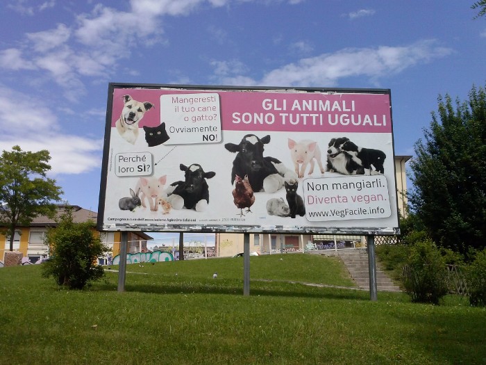 cartellono_6x3_trento_6_20130609_1117899527 cartellono_6x3_trento_6_20130609_1117899527