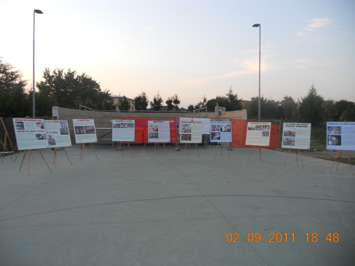 VEGANCH'IO 2011 - 2011 - tavolo animals 20130212 1031373293 - tavolo animals 20130212 1031373293 - VEGANCH'IO 2011 - 2011-