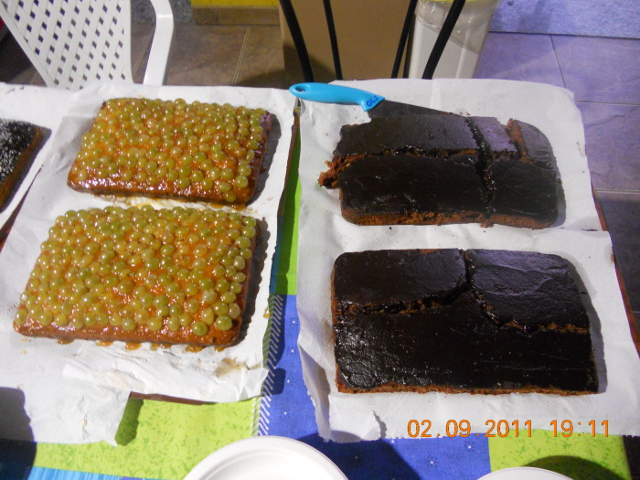 VEGANCH'IO 2011 - 2011 - tavolo animals 20130212 1032432536 - tavolo animals 20130212 1032432536 - VEGANCH'IO 2011 - 2011-