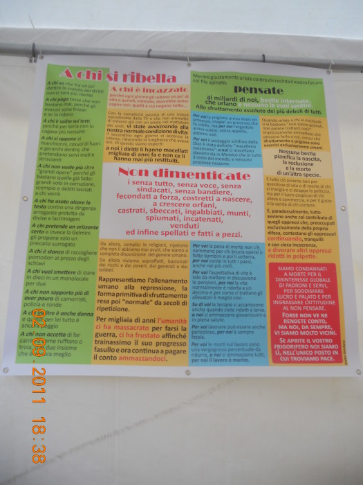 VEGANCH'IO 2011 - 2011 - tavolo animals 20130212 1116132002 - tavolo animals 20130212 1116132002 - VEGANCH'IO 2011 - 2011-