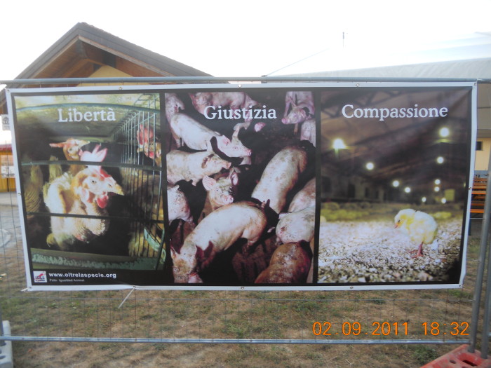 VEGANCH'IO 2011 - 2011 - tavolo animals 20130212 1126576013 - tavolo animals 20130212 1126576013 - VEGANCH'IO 2011 - 2011-