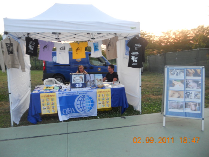 VEGANCH'IO 2011 - 2011 - tavolo animals 20130212 1579230023 - tavolo animals 20130212 1579230023 - VEGANCH'IO 2011 - 2011-