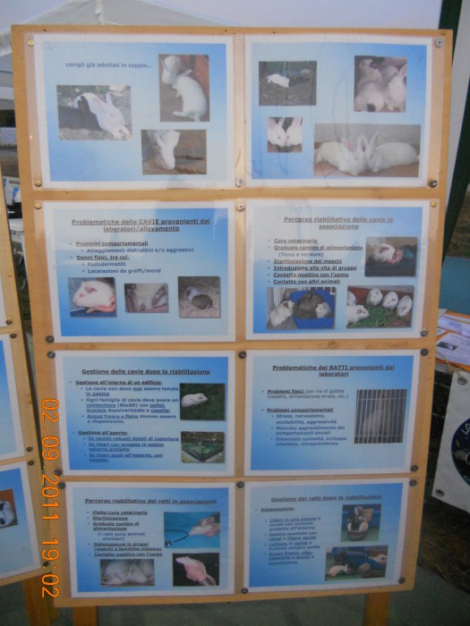 VEGANCH'IO 2011 - 2011 - tavolo animals 20130212 1608770439 - tavolo animals 20130212 1608770439 - VEGANCH'IO 2011 - 2011-