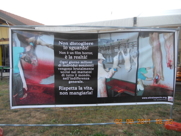 VEGANCH'IO 2011 - 2011 - tavolo animals 20130212 1840790515 - tavolo animals 20130212 1840790515 - VEGANCH'IO 2011 - 2011-
