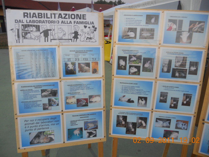 VEGANCH'IO 2011 - 2011 - tavolo animals 20130212 1881148745 - tavolo animals 20130212 1881148745 - VEGANCH'IO 2011 - 2011-