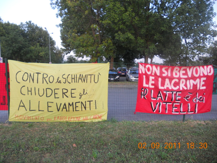 VEGANCH'IO 2011 - 2011 - tavolo animals 20130212 2031001428 - tavolo animals 20130212 2031001428 - VEGANCH'IO 2011 - 2011-