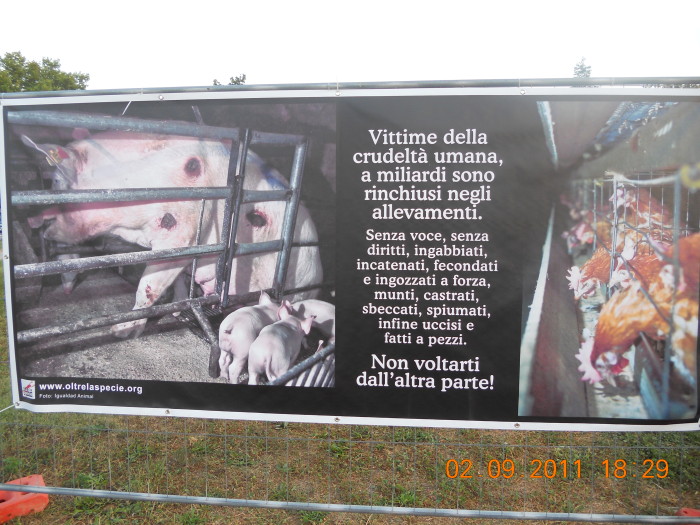 VEGANCH'IO 2011 - 2011 - tavolo animals 20130212 2052520146 - tavolo animals 20130212 2052520146 - VEGANCH'IO 2011 - 2011-