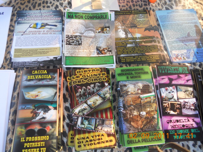 VEGANCH'IO 2011 - 2011 - tavolo animals asia 20110903 1112169595 - tavolo animals asia 20110903 1112169595 - VEGANCH'IO 2011 - 2011-