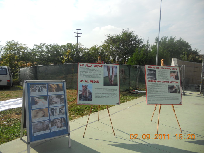 VEGANCH'IO 2011 - 2011 - tavolo animals asia 20110903 1127124079 - tavolo animals asia 20110903 1127124079 - VEGANCH'IO 2011 - 2011-