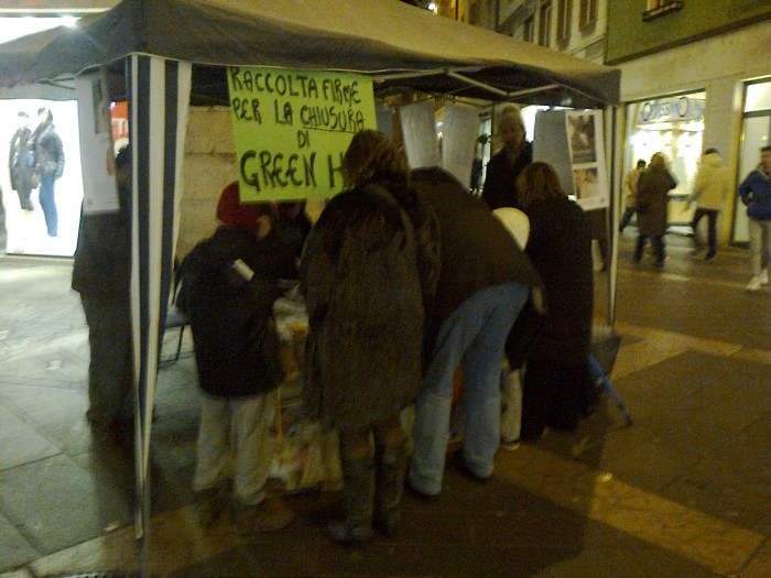 tavolo_informativo_sullantispecismo_e_la_cultura_del_dom_20130212_1153306630 tavolo_informativo_sullantispecismo_e_la_cultura_del_dom_20130212_1153306630