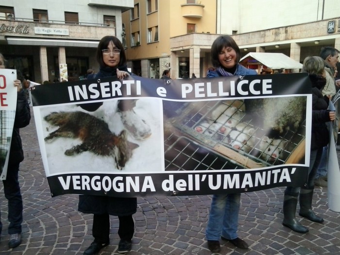trento_2411_20130212_1034159934 trento_2411_20130212_1034159934