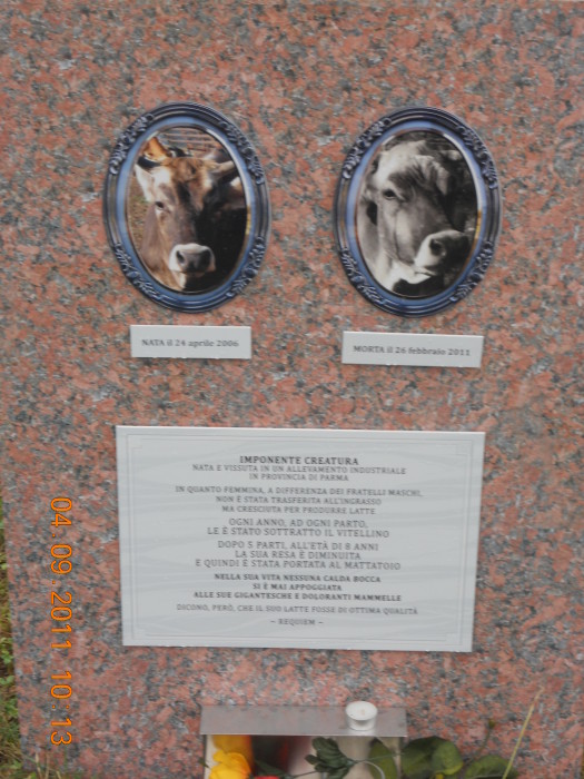 VEGANCH'IO 2011 - 2011 - vaganchio 20110905 1292514890 - vaganchio 20110905 1292514890 - VEGANCH'IO 2011 - 2011-