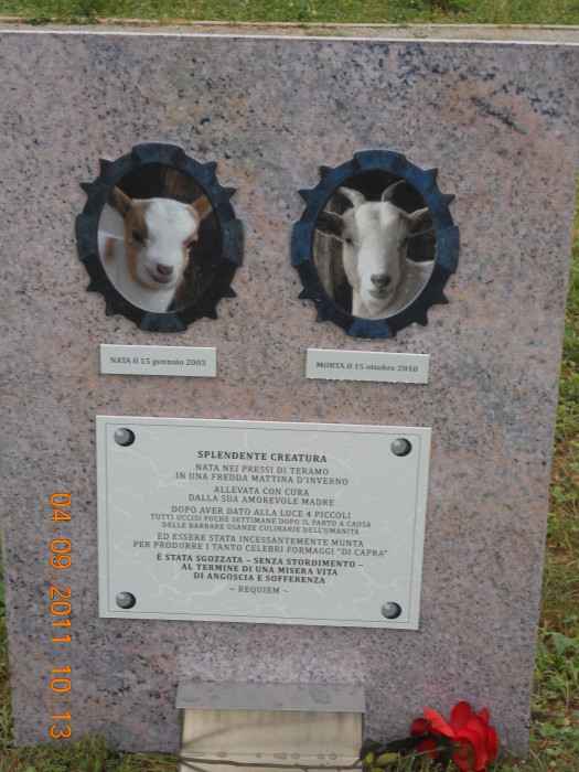 VEGANCH'IO 2011 - 2011 - vaganchio 20110905 1350101241 - vaganchio 20110905 1350101241 - VEGANCH'IO 2011 - 2011-