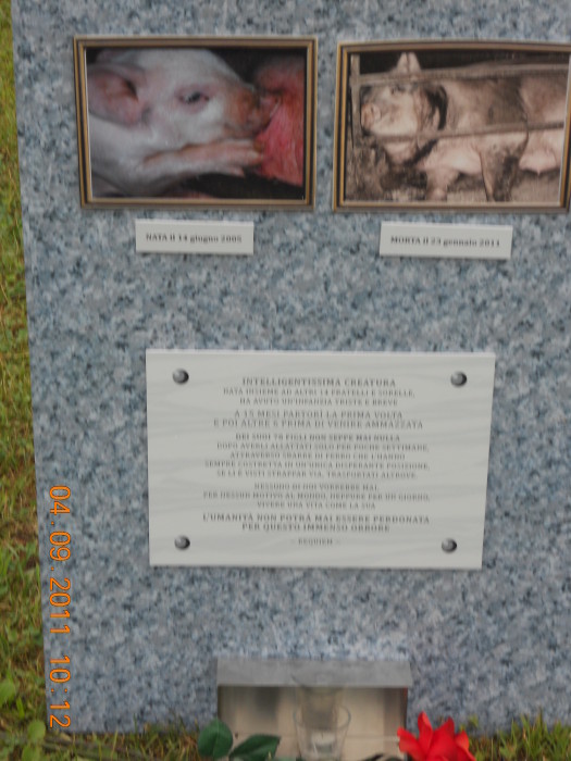 VEGANCH'IO 2011 - 2011 - vaganchio 20110905 1907093121 - vaganchio 20110905 1907093121 - VEGANCH'IO 2011 - 2011-