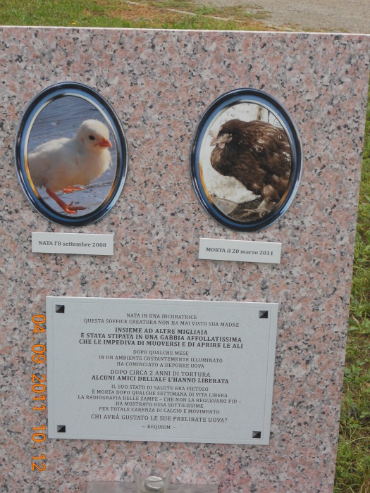 VEGANCH'IO 2011 - 2011 - vaganchio 20110905 1964553380 - vaganchio 20110905 1964553380 - VEGANCH'IO 2011 - 2011-