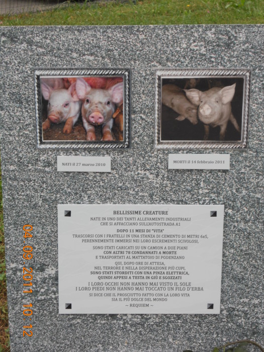 Services - - vegan 20130212 1752449125 - vegan 20130212 1752449125 - Services - -