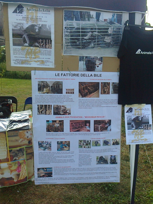Services - - veganc 20110910 1217404522 - veganc 20110910 1217404522 - Services - -
