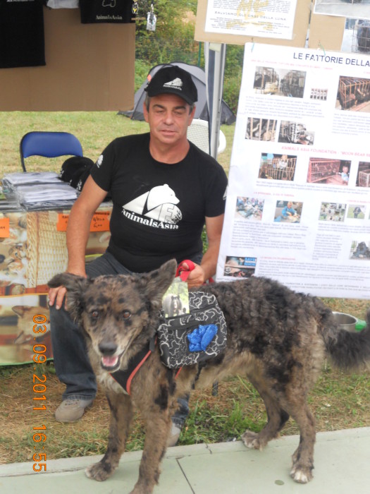 VEGANCH'IO 2011 - 2011 - veganc 20130212 1208081443 - veganc 20130212 1208081443 - VEGANCH'IO 2011 - 2011-