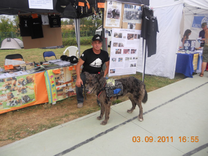 VEGANCH'IO 2011 - 2011 - veganchio2 20110905 1421956828 - veganchio2 20110905 1421956828 - VEGANCH'IO 2011 - 2011-