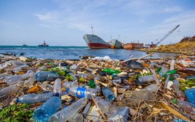 Detriti di plastica: sono veramente dappertutto! - ricette-vegane-dal-web - detriti di plastica 400x250 1 - detriti di plastica 400x250 1 - Detriti di plastica: sono veramente dappertutto! - ricette-vegane-dal-web-