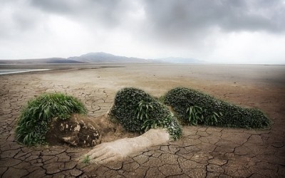 Ci aspettano 10.000 anni segnati dal cambiamento climatico - ricette-vegane-dal-web - nature 845849 640 400x250 1 - nature 845849 640 400x250 1 - Ci aspettano 10.000 anni segnati dal cambiamento climatico - ricette-vegane-dal-web-