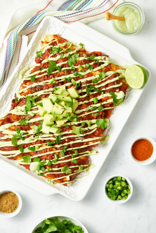 tinykitchenvegan:Next Level Vegan Enchiladas tumblr o1y8ieIAYs1rfubseo1 500 1 - tinykitchenvegan:Next Level Vegan Enchiladas