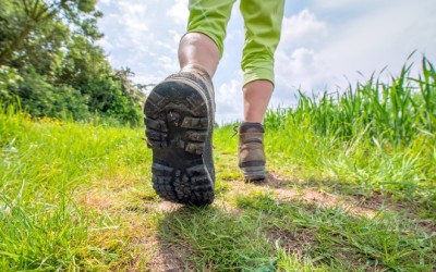 Le 12 migliori scarpe da trekking per le prossime vacanze - ricette-vegane-dal-web - 12 migliori scarpe da trekking 400x250 1 - 12 migliori scarpe da trekking 400x250 1 - Le 12 migliori scarpe da trekking per le prossime vacanze - ricette-vegane-dal-web-