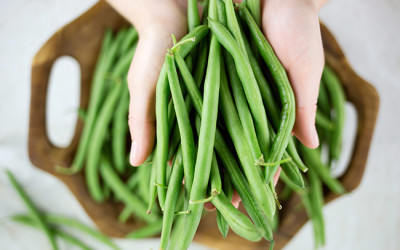 Come coltivare fagiolini in vaso e a terra - ricette-vegane-dal-web - coltivare fagiolini41 400x250 1 - coltivare fagiolini41 400x250 1 - Come coltivare fagiolini in vaso e a terra - ricette-vegane-dal-web-