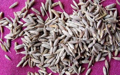 Cumino: proprietà, benefici e modi di utilizzo - ricette-vegane-dal-web - cumino 1 e1359568206940 400x250 1 - cumino 1 e1359568206940 400x250 1 - Cumino: proprietà, benefici e modi di utilizzo - ricette-vegane-dal-web-