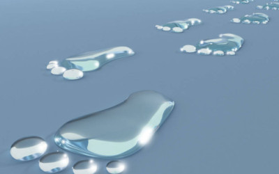 Quanta acqua serve per produrre un chilo di alimenti? - ricette-vegane-dal-web - quanta acqua serve per produrre un chilo di alimenti e1457618368585 400x250 1 - quanta acqua serve per produrre un chilo di alimenti e1457618368585 400x250 1 - Quanta acqua serve per produrre un chilo di alimenti? - ricette-vegane-dal-web-