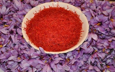 Come coltivare zafferano in vaso e a terra - ricette-vegane-dal-web - come coltivare lo zafferano 400x250 1 - come coltivare lo zafferano 400x250 1 - Come coltivare zafferano in vaso e a terra - ricette-vegane-dal-web-