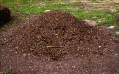 Come fare il compost: la guida al compostaggio domestico - ricette-vegane-dal-web - compost 400x250 1 - compost 400x250 1 - Come fare il compost: la guida al compostaggio domestico - ricette-vegane-dal-web-