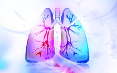 Come pulire i polmoni dal fumo in modo naturale shutterstock 291014192 e1459771532501 400x250 1 - Come pulire i polmoni dal fumo in modo naturale